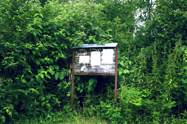 Material for white signs in the forest.