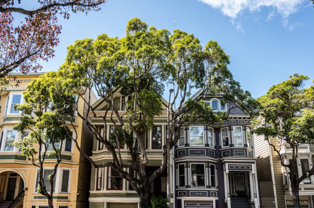 Facade of typical houses in San Francisco during springtime day