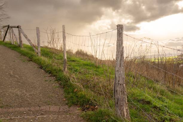 istock country lane in a beautiful landscape 2149280545