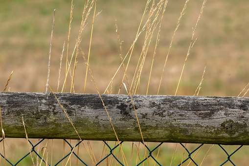 barbed wire fence in field