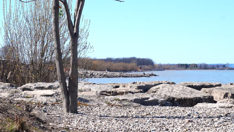 Lake Ontario View from Grimsby Beach
