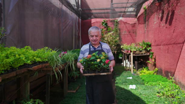 istock Elderly gardener walking with crate of plants in a backyard 2149285485