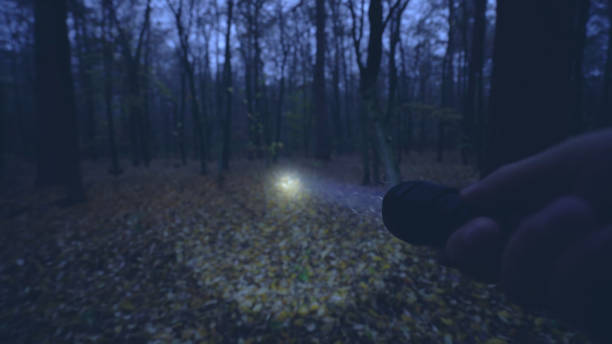 Hand of a hunter holding a flashlight, searching for animals in a night forest as a hobby