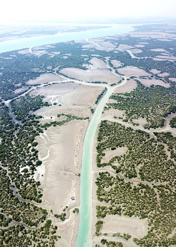 Mangrove forest from above, Hara forest in Qeshm Island, Iran
