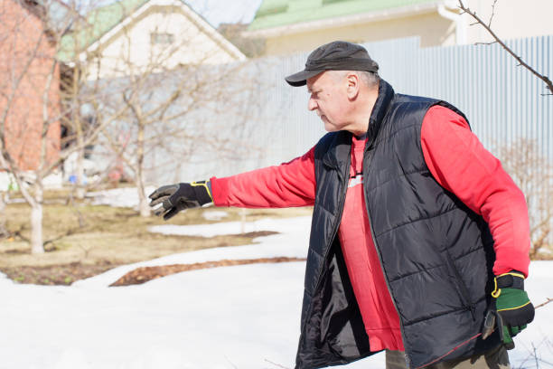 istock A senior man in a black cap and sleeveless jacket extends his gloved hand while working in a garden, with melting snow patches and a rustic setting in the background 2149289699