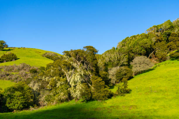 istock Rolling Hills of Sonoma County, California 2149291021