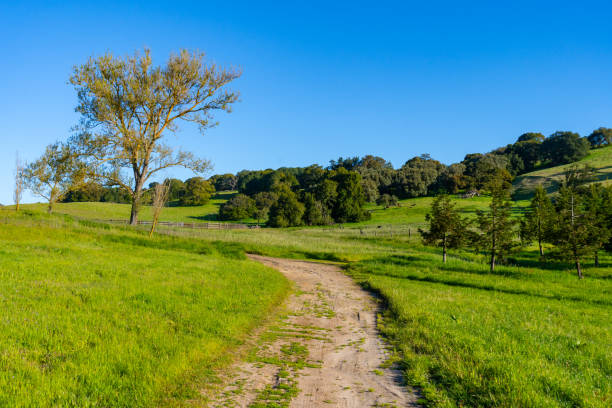 istock Rolling Hills of Sonoma County, California 2149291109