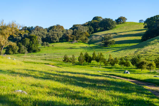 istock Rolling Hills of Sonoma County, California 2149291110