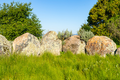 Large rocks in a row with green, lush. dewy gras in front.