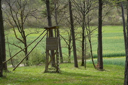 A hunter's deer stand in spring in the forest in Switzerland. Rapeseed field in the background.