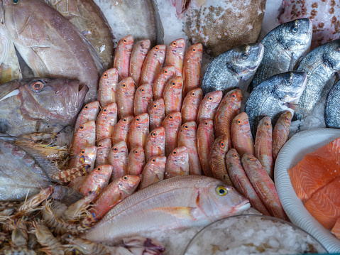 A variety of fresh fish and seafood served on the counter.