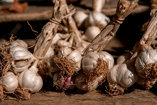 fresh dried garlic on table at the farmers market