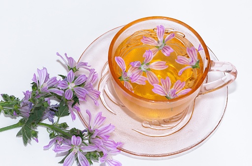 medicinal plants, hibiscus tea photos