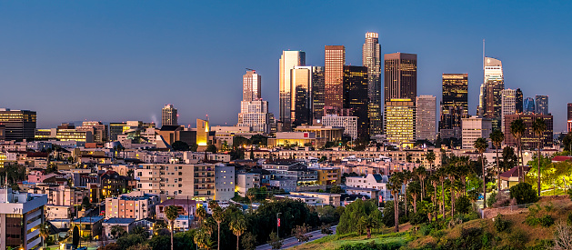 Los Angeles skyline panorama