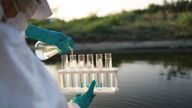 istock Testing the quality of water in the industrial estate's drainage sources by biologists using experimental kits. 2149301651