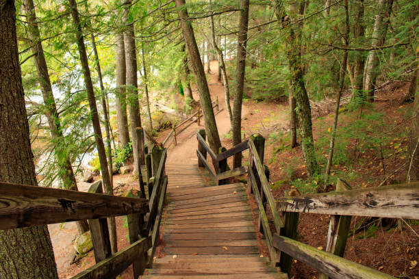 istock wooden bridge in the forest 2149312792