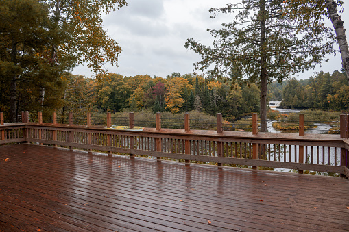 A wooden cedar observation deck extends gracefully over the banks of a tranquil river in Michigan. Autumn colored trees line the riverbanks.