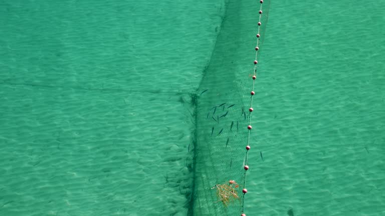 Aerial Drone View of Fish Swimming Into a Fishing Net in the Mediterranean Sea: Aerial View of a Traditional Trap in Thessaloniki's  Crystal Clear Blue Waters