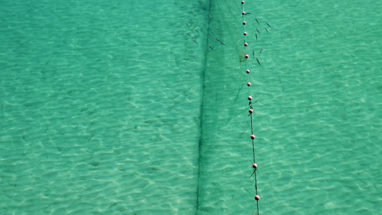Fish Swimming Along Fishing Net in the Mediterranean Aegean Sea: Aerial View of a Traditional Trap in Thessaloniki's Crystal Clear Blue Waters.