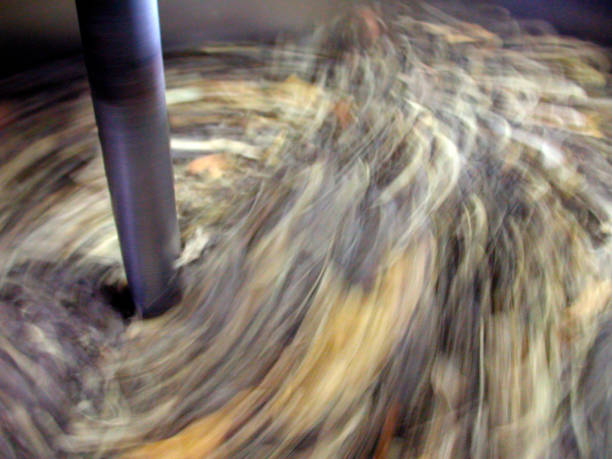 Pumpkin seed oil is a culinary delicacy and very nutty