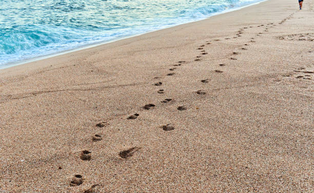 istock Serene sandy beach with footprints towards gentle waves. 2149317104