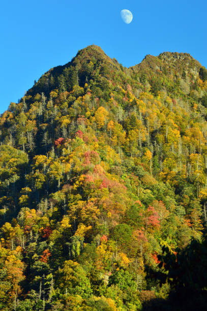 istock Moonrise over the autumn hills 2149317614