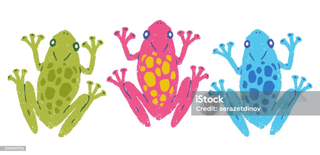 Vector Ranas Exoticas Ilustración de Ilustración Del Conjunto Vectorial De Ranas Tropicales ...