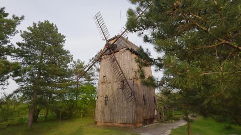 Old Windmill At Miecmierz With Pine Trees At Kazimierz Dolny, Poland. - wide shot