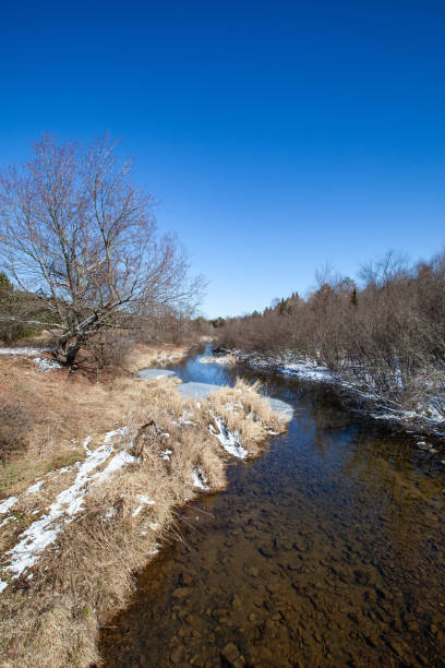 istock Wisconsin stream and  forest with a little snow 2149319013