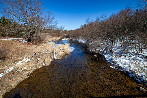 Wisconsin stream and  forest with a little snow, horizontal