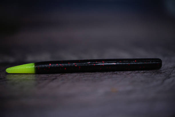 istock worm fishing bait 2149322268