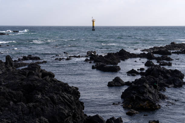with black stones in Jeju Island