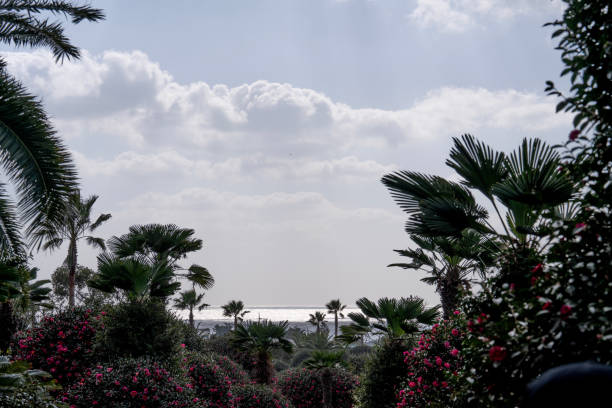 at Camellia Botanical Garden in Jeju Island