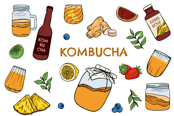 Kombucha tea and ingredients Kombucha tea and ingredients for kombucha. Kombucha fermented tea in glass jar and bottle with lemon and ginger. Kombucha drink. Tea mushroom, tea fungus kombucha jar stock illustrations