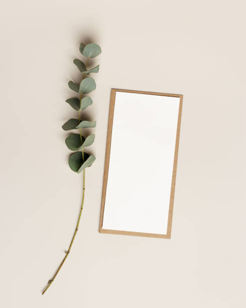 istock Blank paper card mock up and craft envelope with branches eucalyptus leaves on beige background. White empty invitation on table. Minimal modern lifestyle photo. Vertical Flat lay, top view 2149327394