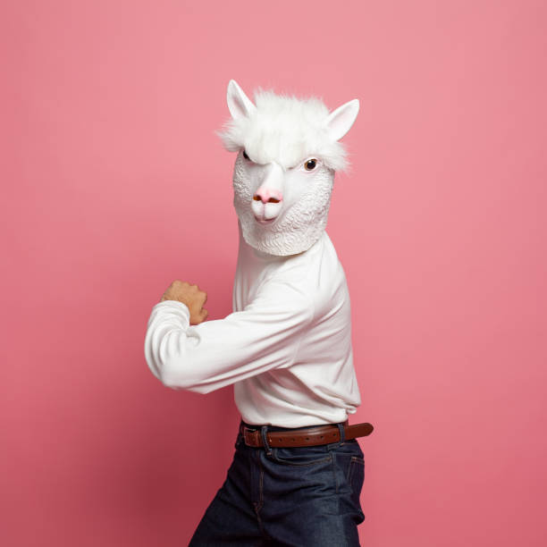 istock Person in lama mask costume on pink background 2149328034