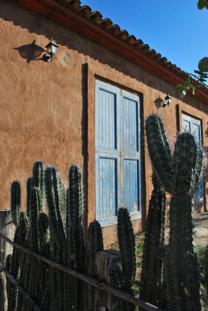 istock Houses, doors and windows in Nueva Esparta. 2149328629