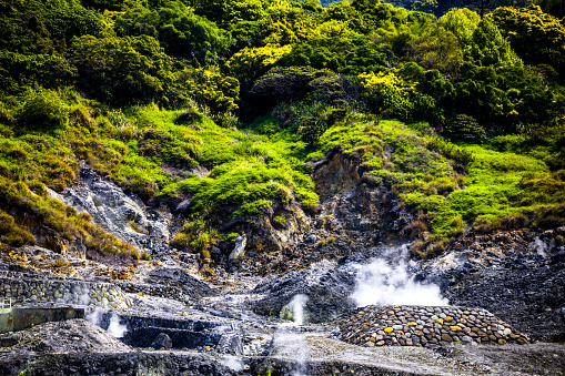 the contrasting elements of Beitous Sulphur Valley, where the lush greenery meets the rugged terrains emanating steam