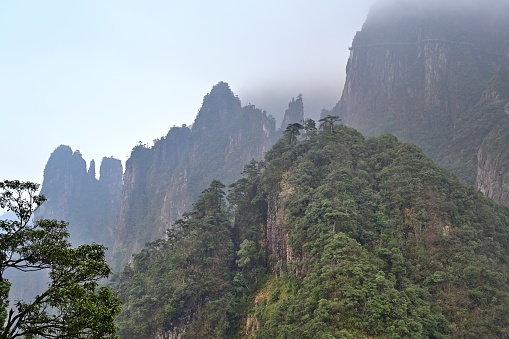 Mang mountain,Chenzhou City,Hunan Province,China.\nThis is a continuous mountain range in South China. It is a national AAAA scenic spot with mild climate, abundant rainfall and extremely rich biodiversity. The most significant advantage of the scenic spot is that the whole process is barrier-free, so that people with limited mobility can reach the summit without getting out of a wheelchair. It is \