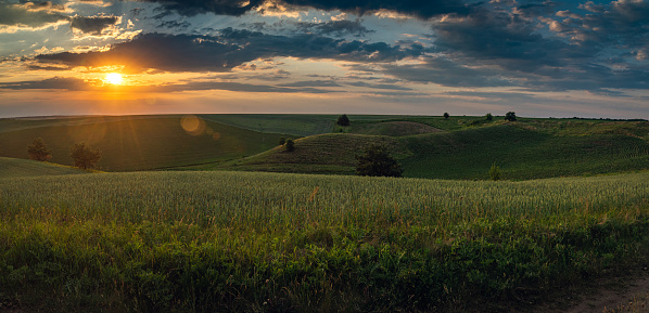 Photo of a summer evening landscape