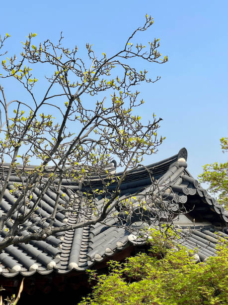 istock April Seoul Hanok Home 2149332611