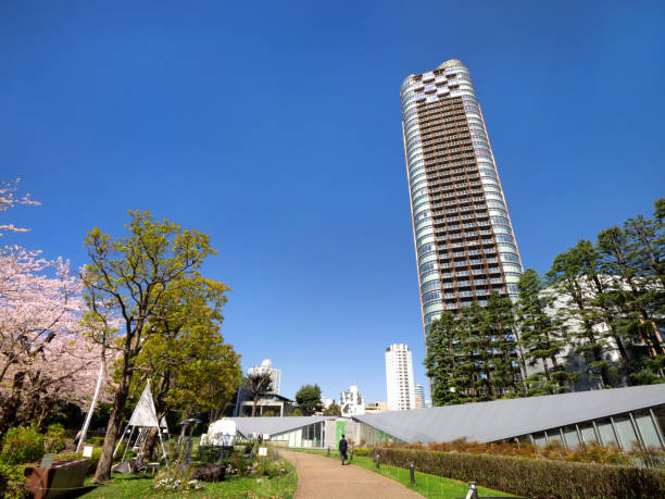 Midtown Garden with cherry blossoms in full bloom, Tokyo
