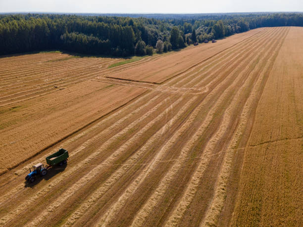 istock Agricultural field in countryside 2149333208