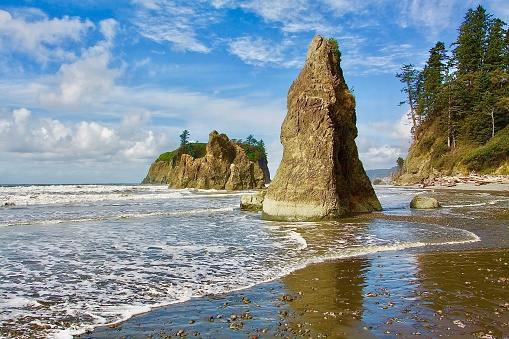 A seastack  on the Washington coast in Olympic National Park