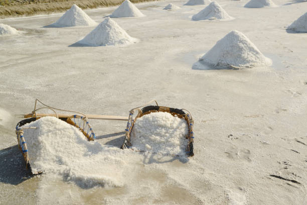 istock Natural salt pile with contain baskets in saltfarm. 2149334029