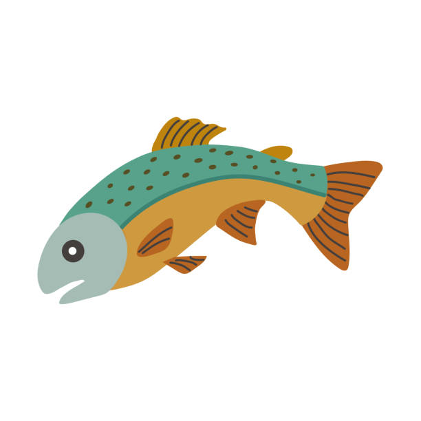 Speckled trout icon clipart avatar logotype isolated vector illustration Speckled trout icon clipart avatar logotype isolated vector illustration brown trout jumping stock illustrations
