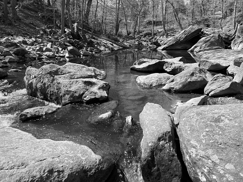 Black and white photo of the north branch of the anacostia river in maryland in spring.  This pool holds some nice trout.