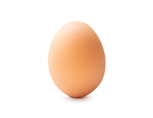 istock Front view of single fresh brown chicken egg standing isolated on white background with clipping path 2149336200