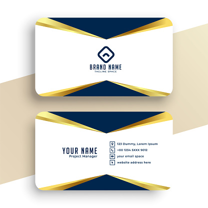 elegant and stylish corporate business card template for individual information vector