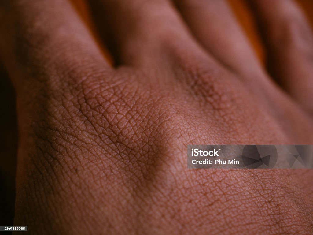 Normal Hand Texture Human Hand Texture Stock Photo - Download Image Now - Adult, Adults ...